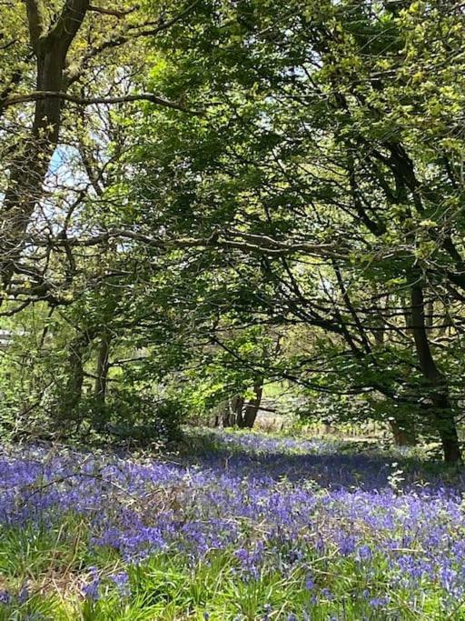 South Cottage - Garden, Views, Parking, Dogs, Cheshire, Walks, Family Adlington المظهر الخارجي الصورة